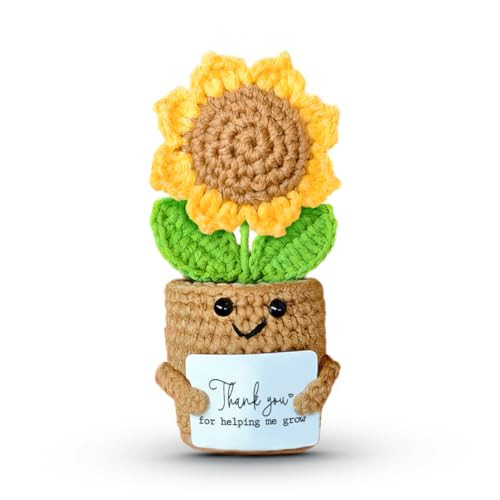 Amazon.com: Mini Sunflower Teacher Appreciation Gifts, Thank You Gift for Teacher Boss Manager, H... | Amazon (US)