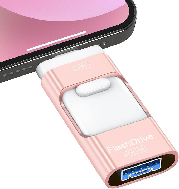 Sunany USB Flash Drive 256GB, Photo Stick Memory External Data Storage Thumb Drive Compatible wit... | Amazon (US)