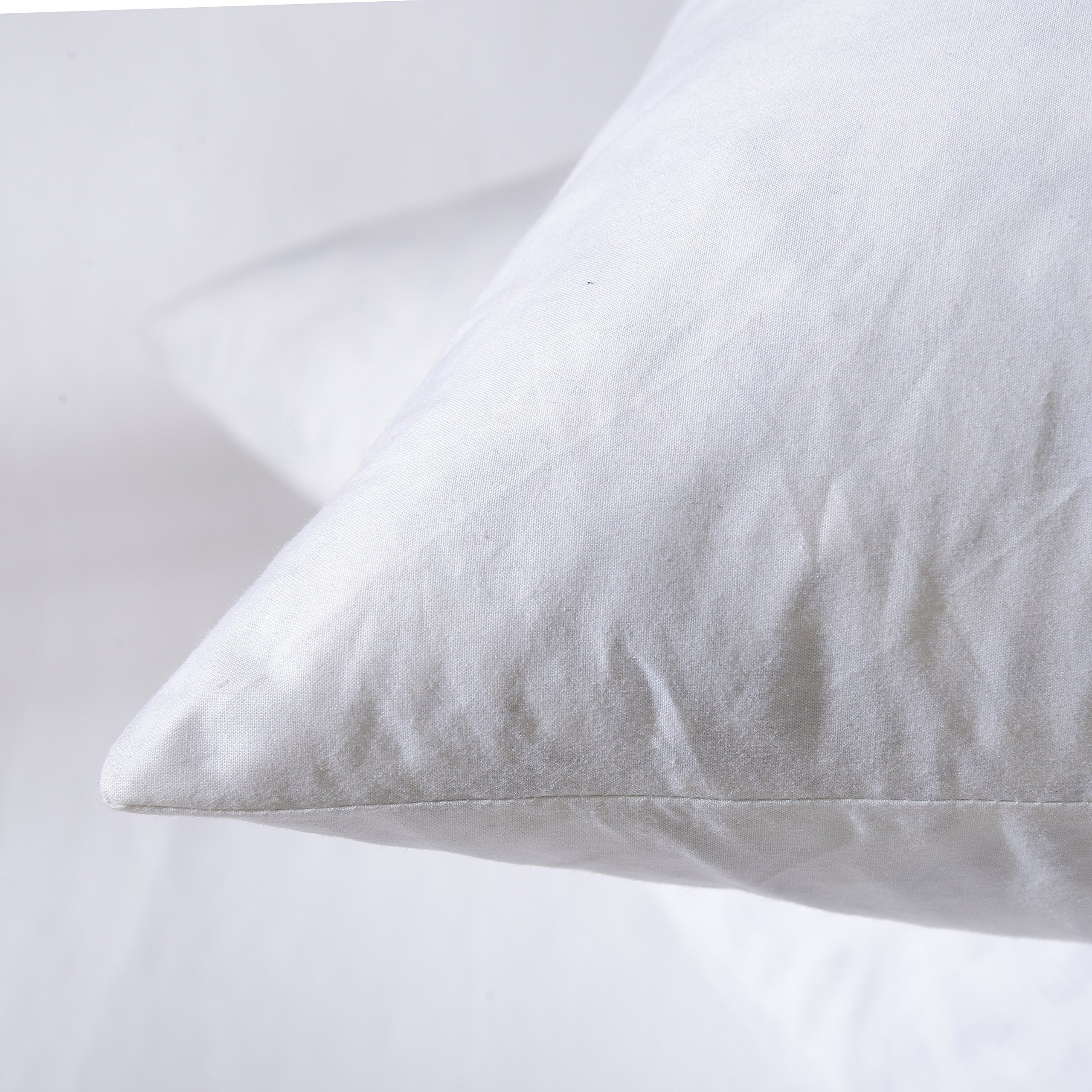 Hotel-Style Goose Feather Pillow Insert for Sofa & Bed - 100% Odorless & Plump Cushion Filler - 2... | Amazon (US)
