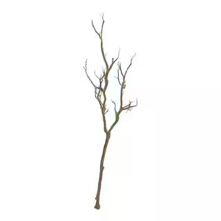 Bare Birch Branch by Ashland® | Michaels Stores