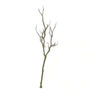Bare Birch Branch by Ashland® | Michaels Stores