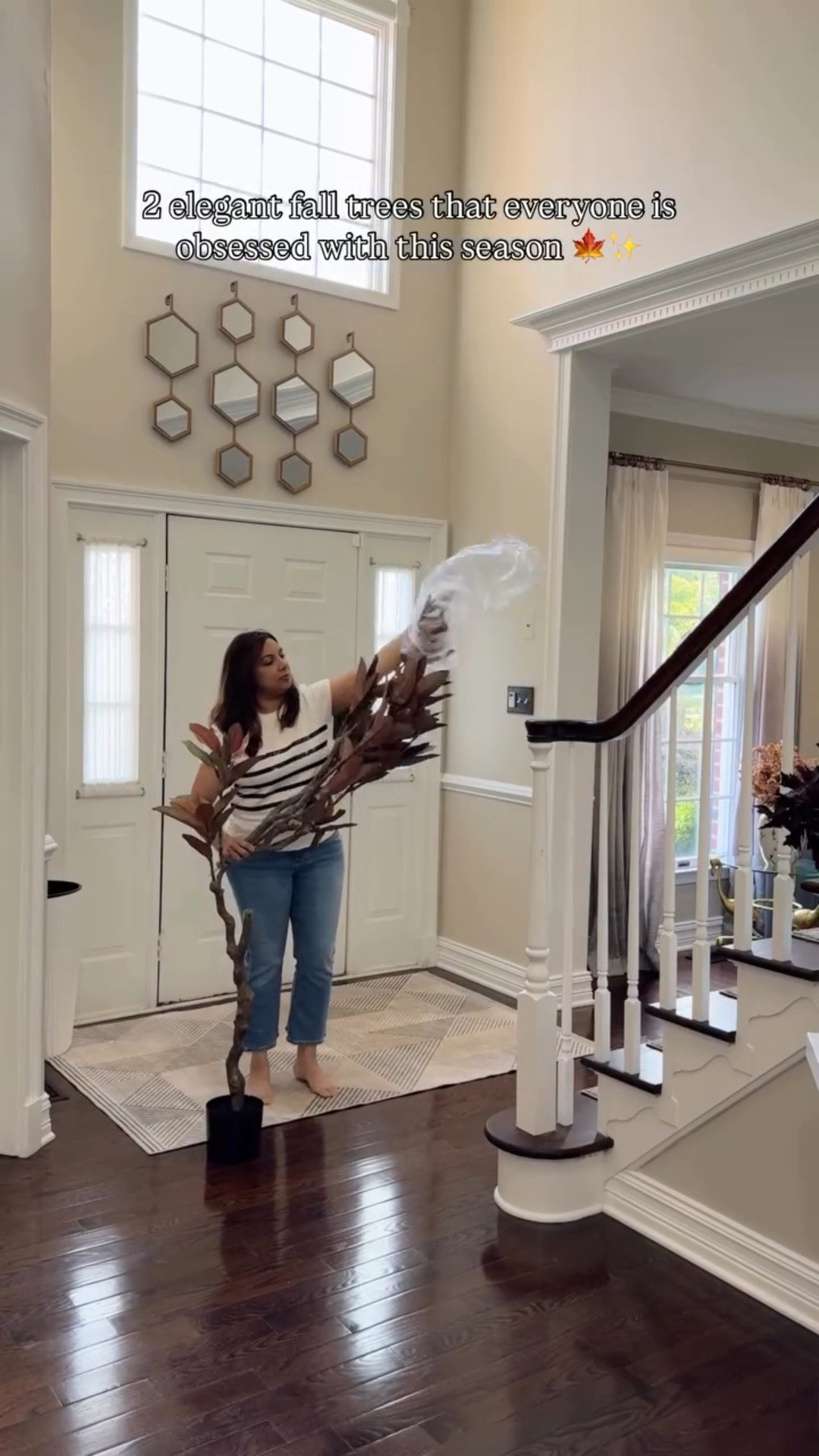 Can’t beLEAF it’s September tomorrow? 🍁 I like to switch my olive trees with magnolia or eucalyptus tree because they they are not only elegant and beautiful but also give that fall vibes !


#LTKHome #LTKSaleAlert #LTKSeasonal