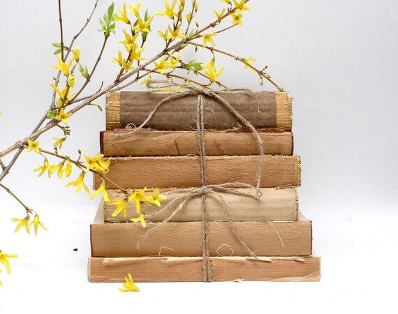 Rustic Farmhouse Decorative Books | Distressed Book Set | Neutral Shabby Chic Interior Design | F... | Etsy (US)