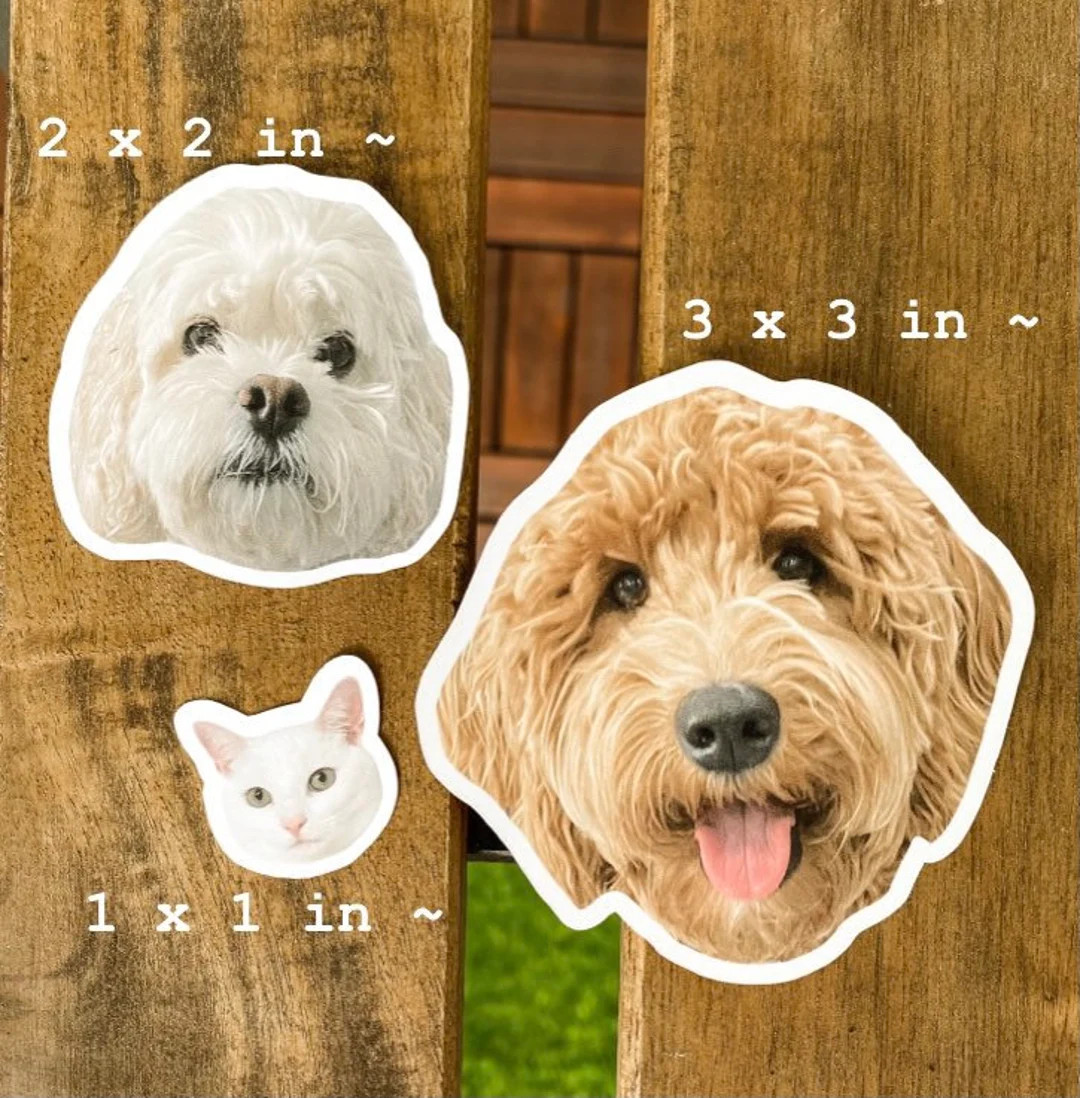 Custom Pet Stickers, Custom Dog Sticker, Custom Cat Sticker, Water Bottle Sticker, Dog Mom Gift, ... | Etsy (US)