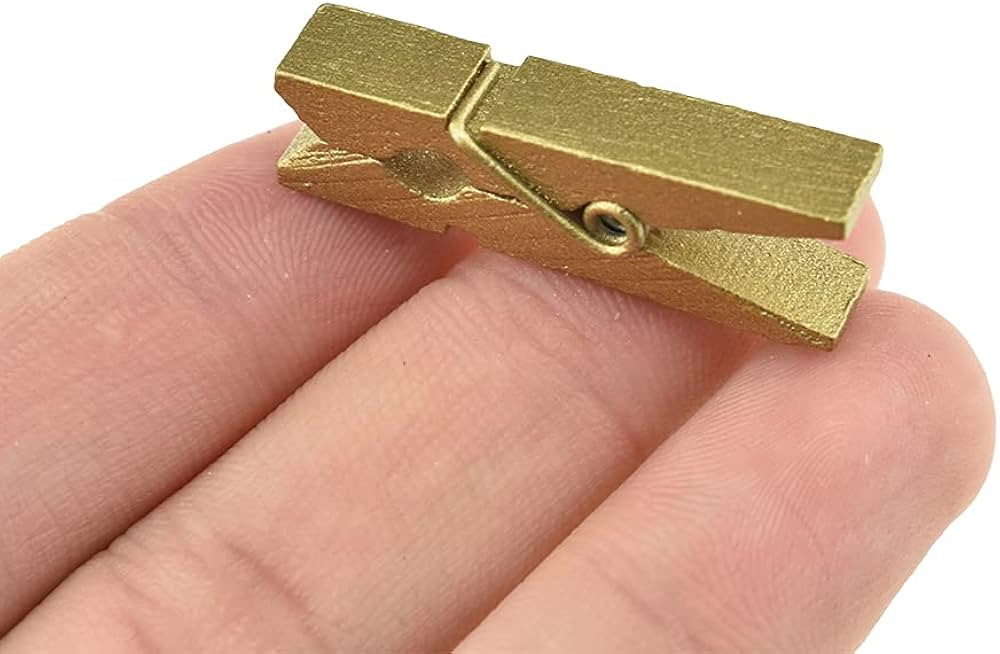 HAHIYO Gold Wooden Clothes Pins Clothespins Small Do NOT Fall Apart 1.38 inches Length 50 Pack St... | Amazon (US)