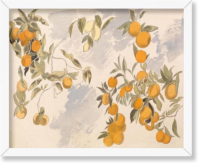 Poster Master Vintage Clementine Poster - Retro Watercolor Print - Gift for Artist, Friend - Oran... | Amazon (US)