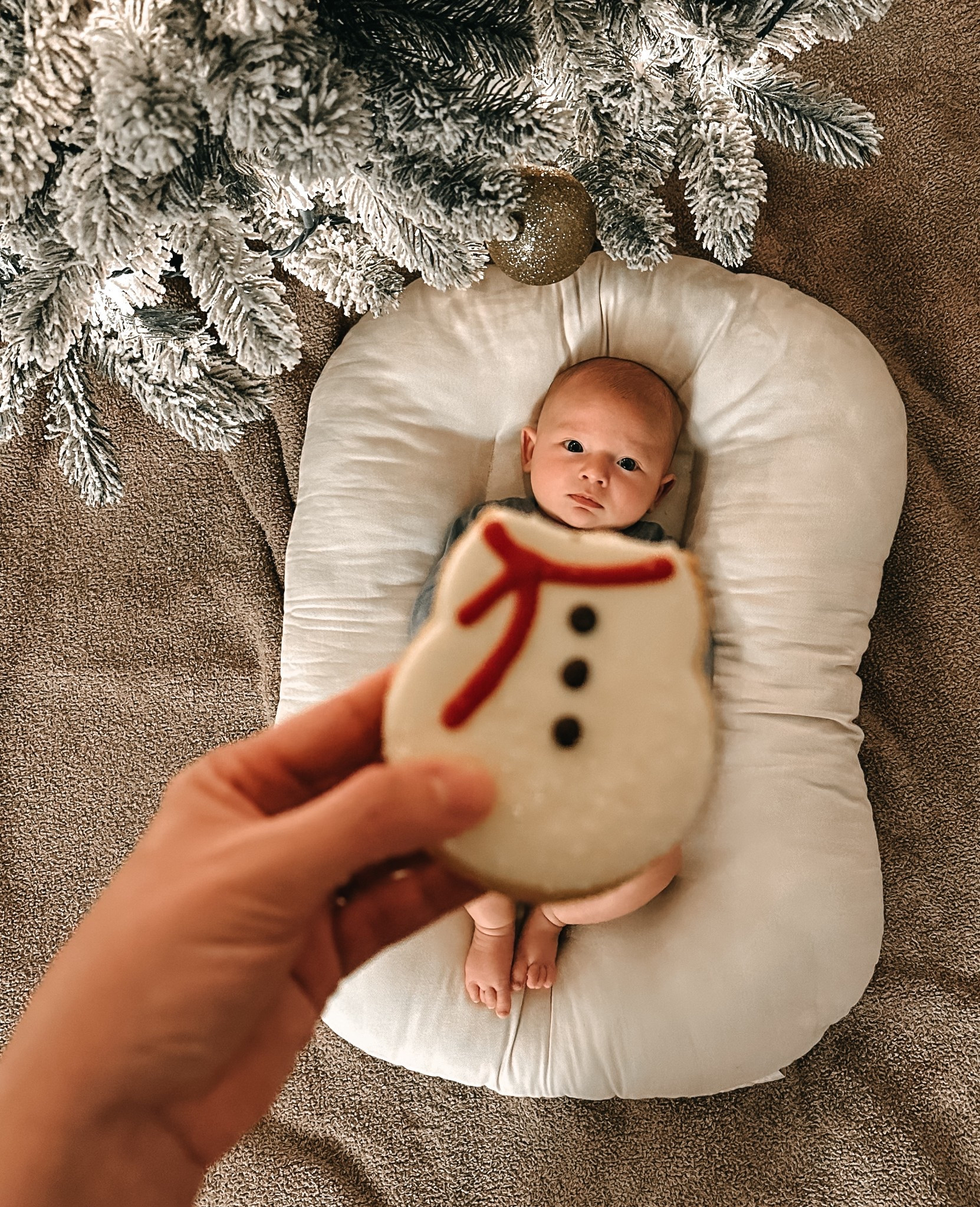 This infant lounger was a must have for me without first and it’s to this day one thing I swear by. We use it every single day and did with Koa as well. 

Baby must have, baby essentials, newborn, baby registry 

#LTKBaby #LTKBump #LTKmomlife