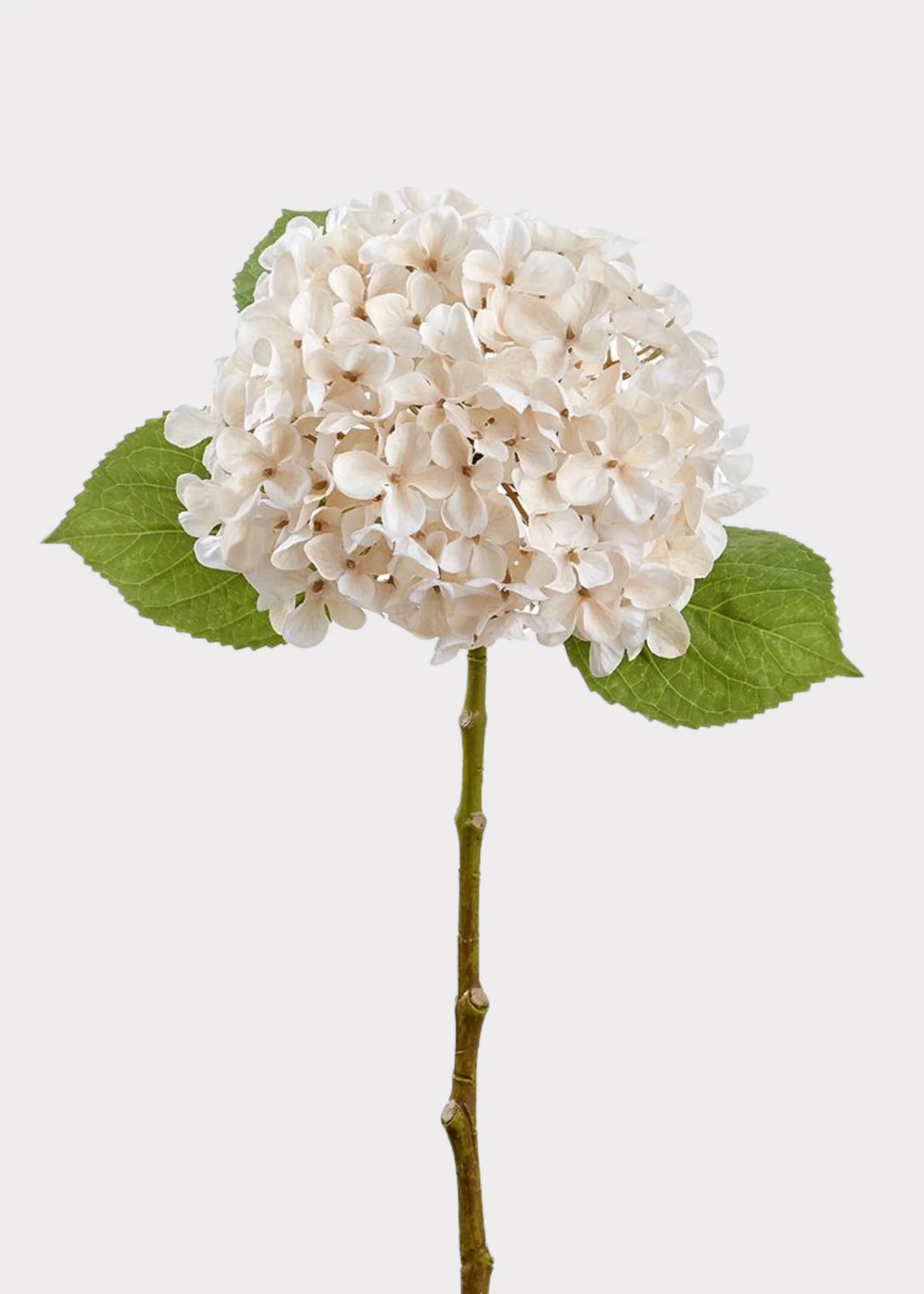 Ivory Cream Fake Hydrangea Flower - 17.5" | Afloral