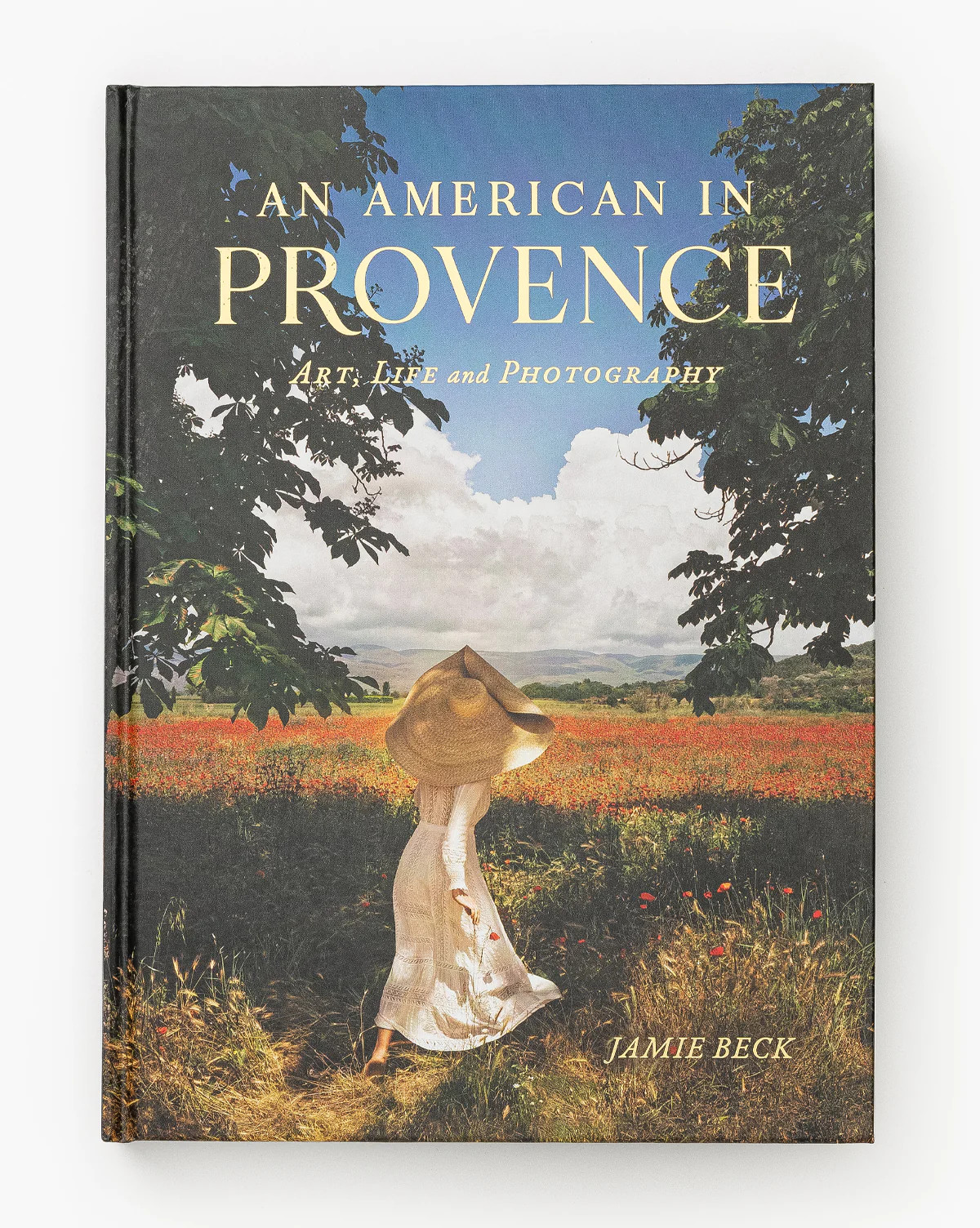 An American in Provence | McGee & Co. (US)