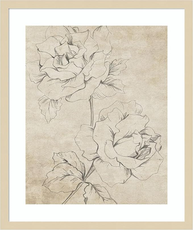 Amanti Art Framed Wall Art Print 25x21 Rose Sketch Sepia by Patricia Pinto, Flowers Wall Art, Vin... | Amazon (US)