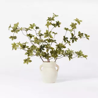 5.5" x 3" Artificial Branch Plant Arrangement in Ceramic Pot - Threshold™ designed with Studio ... | Target