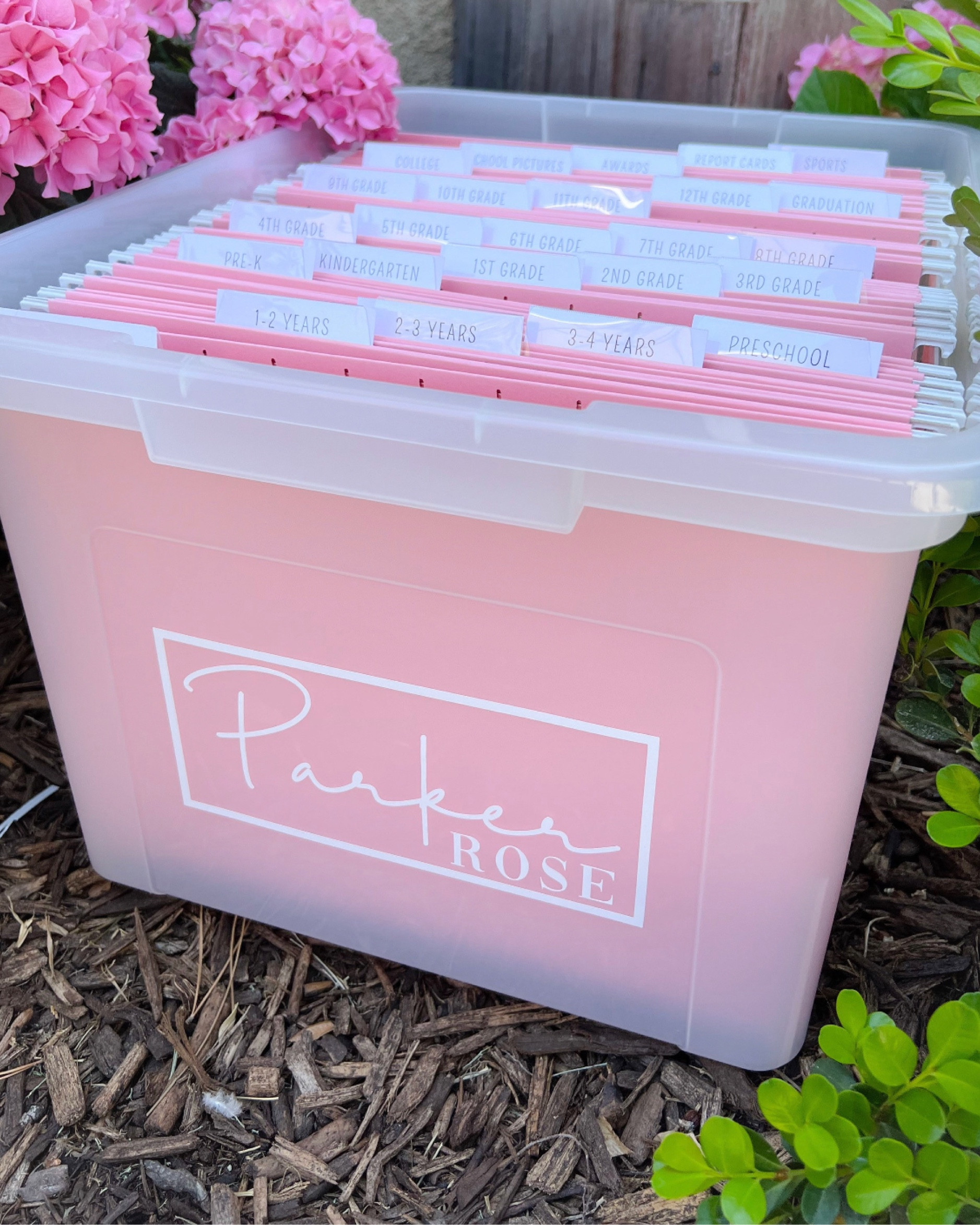 As Iris starts preschool and the teacher sends her home with things- this file storage box from Etsy is exactly what I’ve been looking for to keep all the special things so far and to come over the years.

It comes with all the tab inserts, labels, file folders, box- you just customize it by choosing a file folder color and writing the name of who the box is for! That’s it! 

Can’t wait to get this in and start organizing! 

Gift guide; back to school; 

#LTKCyberWeek #LTKkids #LTKGiftGuide