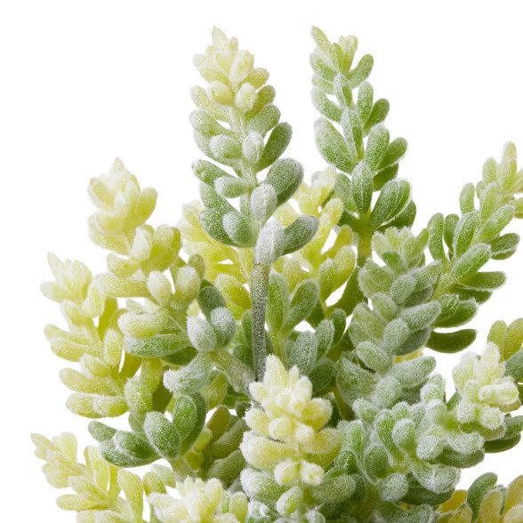 9.5" x 5" Faux Succulent Plant in Ribbed Pot White - Hilton Carter for Target | Target