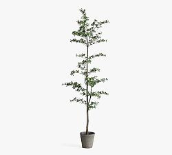 Faux Black Olive Tree | Pottery Barn (US)