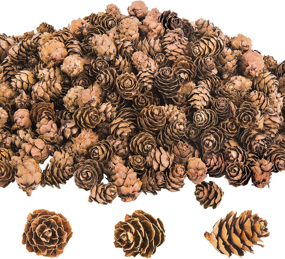 Deloky 250 PCS Christmas Natural Mini Pine Cones-Thanksgiving Pinecones Ornaments for DIY Crafts,... | Amazon (US)