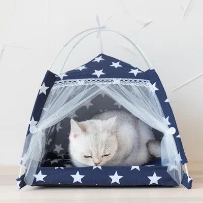 Benniefield Specialty Cat Tent Bed | Wayfair Professional