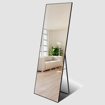 Full Length Mirror, Floor Mirror With Stand, Dressing Mirror , Bedroom Mirror With Aluminium Frame 65"X22", Black | Wayfair Professional