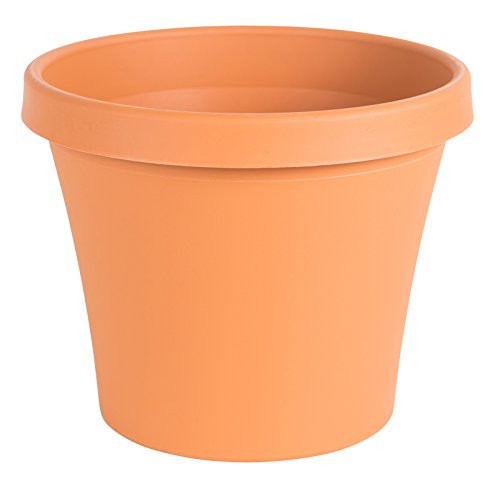 Fiskars 6 Inch TerraPot Planter, Color Clay | Amazon (US)