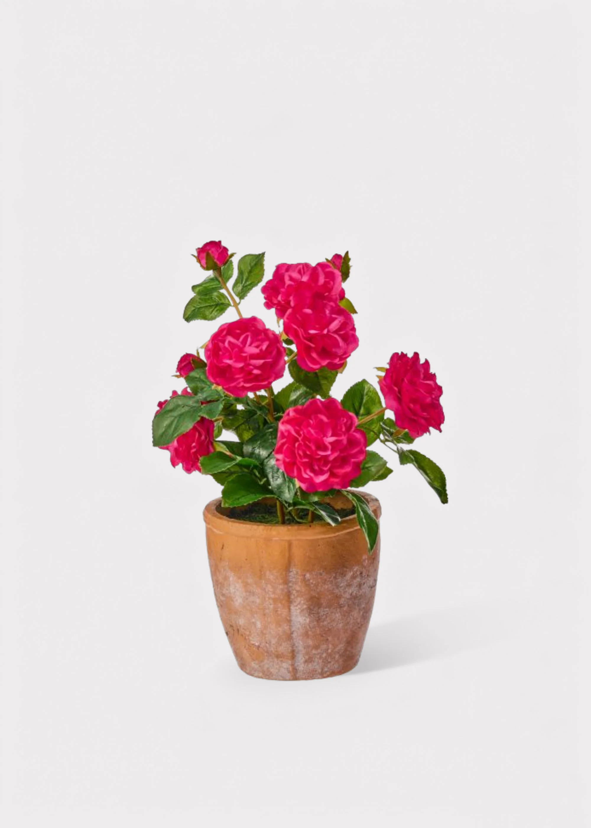 UV Treated Outdoor Potted Plant of Hot Pink Real Touch Roses - 13 | Afloral