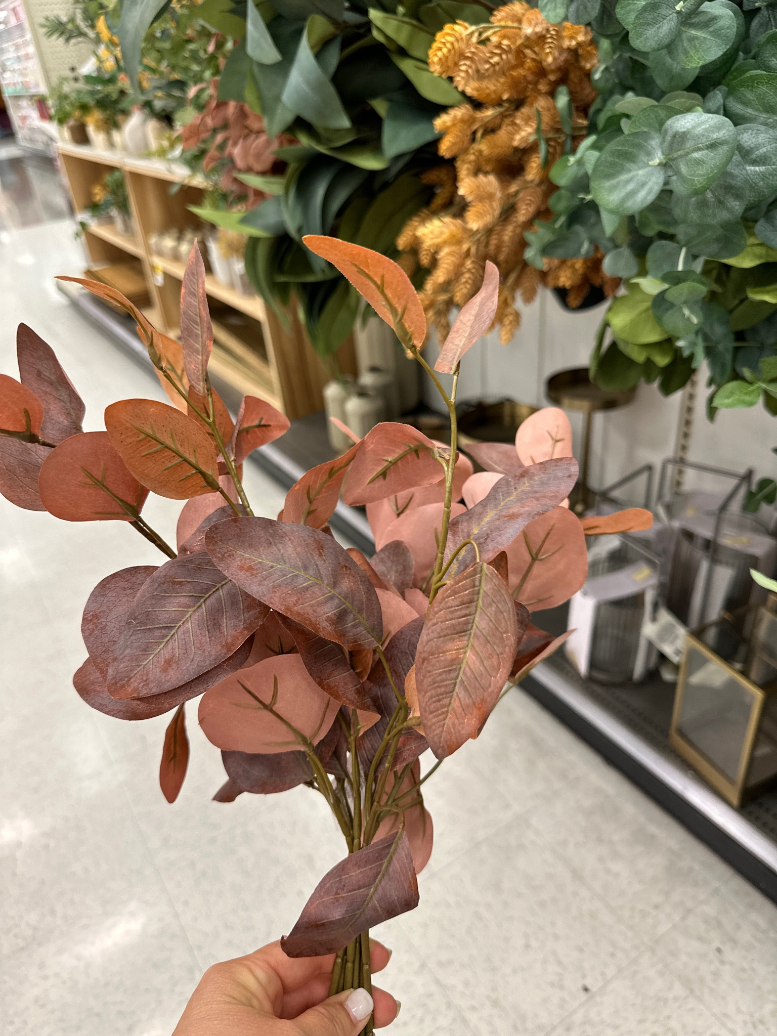 Fall Stems

#LTKhome #LTKSeasonal #LTKFind