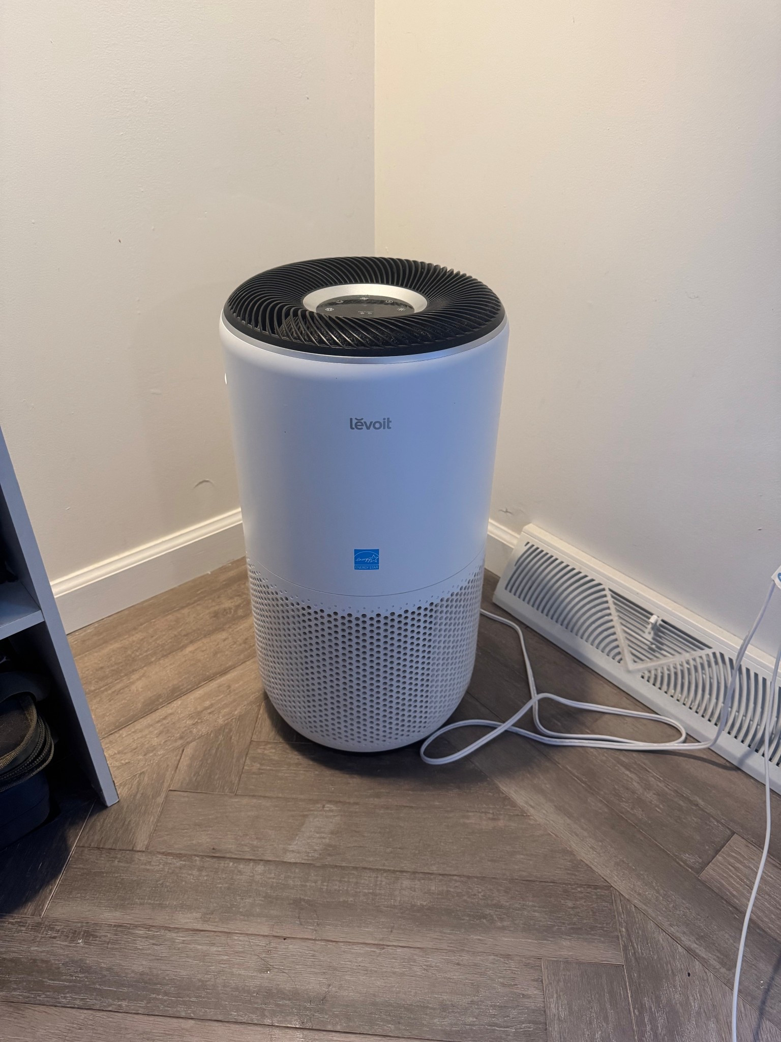 An absolute necessity if you have dogs!

#LTKPets #LTKHome