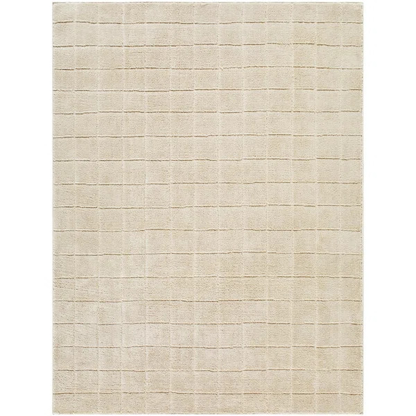 Our PNW Home x Livabliss Boho Scandi High Pile Light Beige Light Brown Area Rug | Wayfair North America