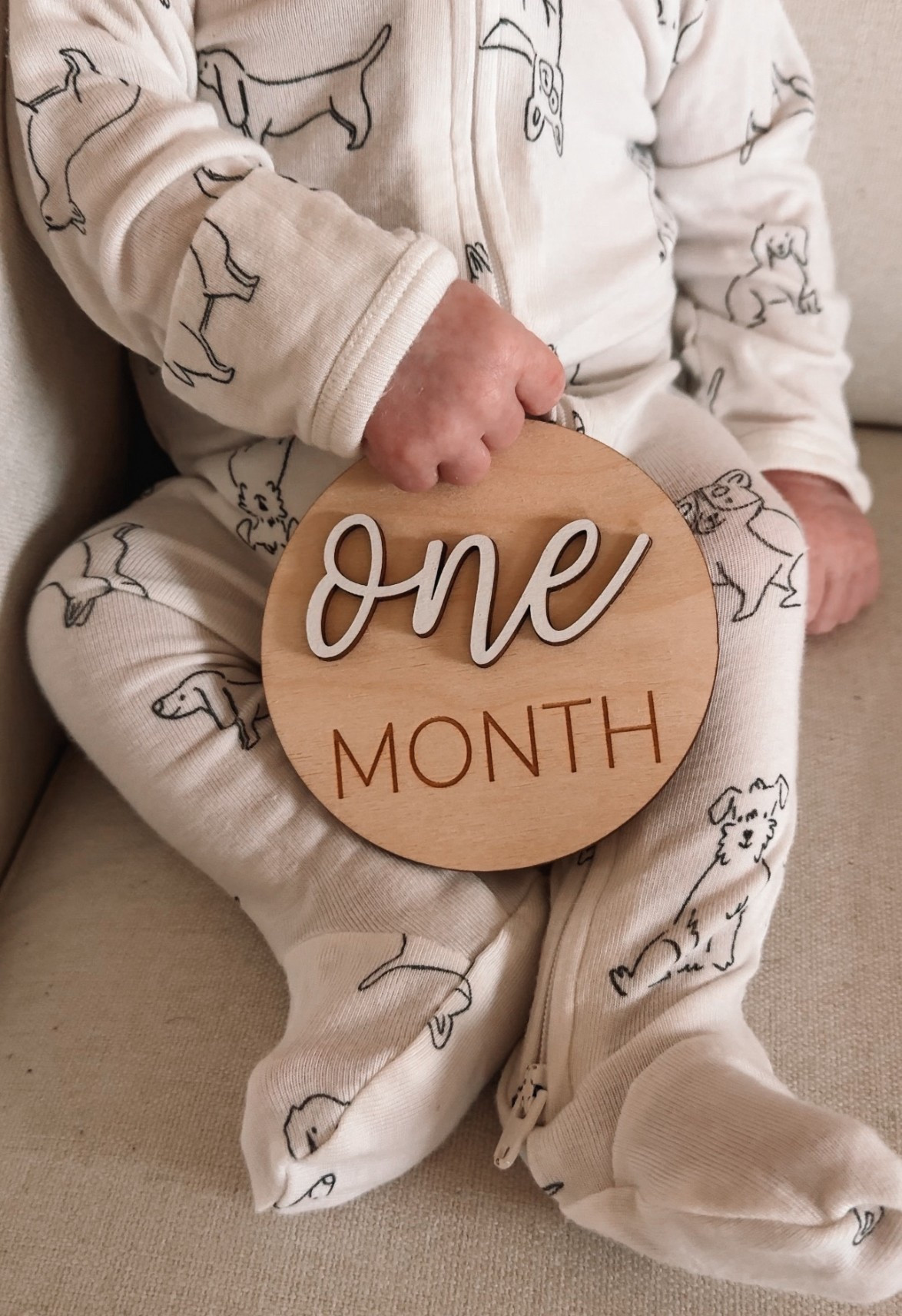 Adorable newborn baby boy pajamas with dogs 🐶 + monthly milestone disks 

#LTKBump #LTKmomlife #LTKBaby