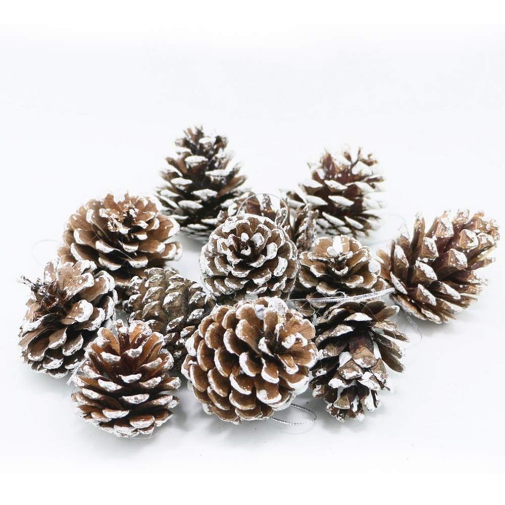 Zuou Christmas Pine Cone Ornaments,24 pcs Natural Pine Cone,Christmas Tree Snowflake Pine Cones P... | Amazon (US)