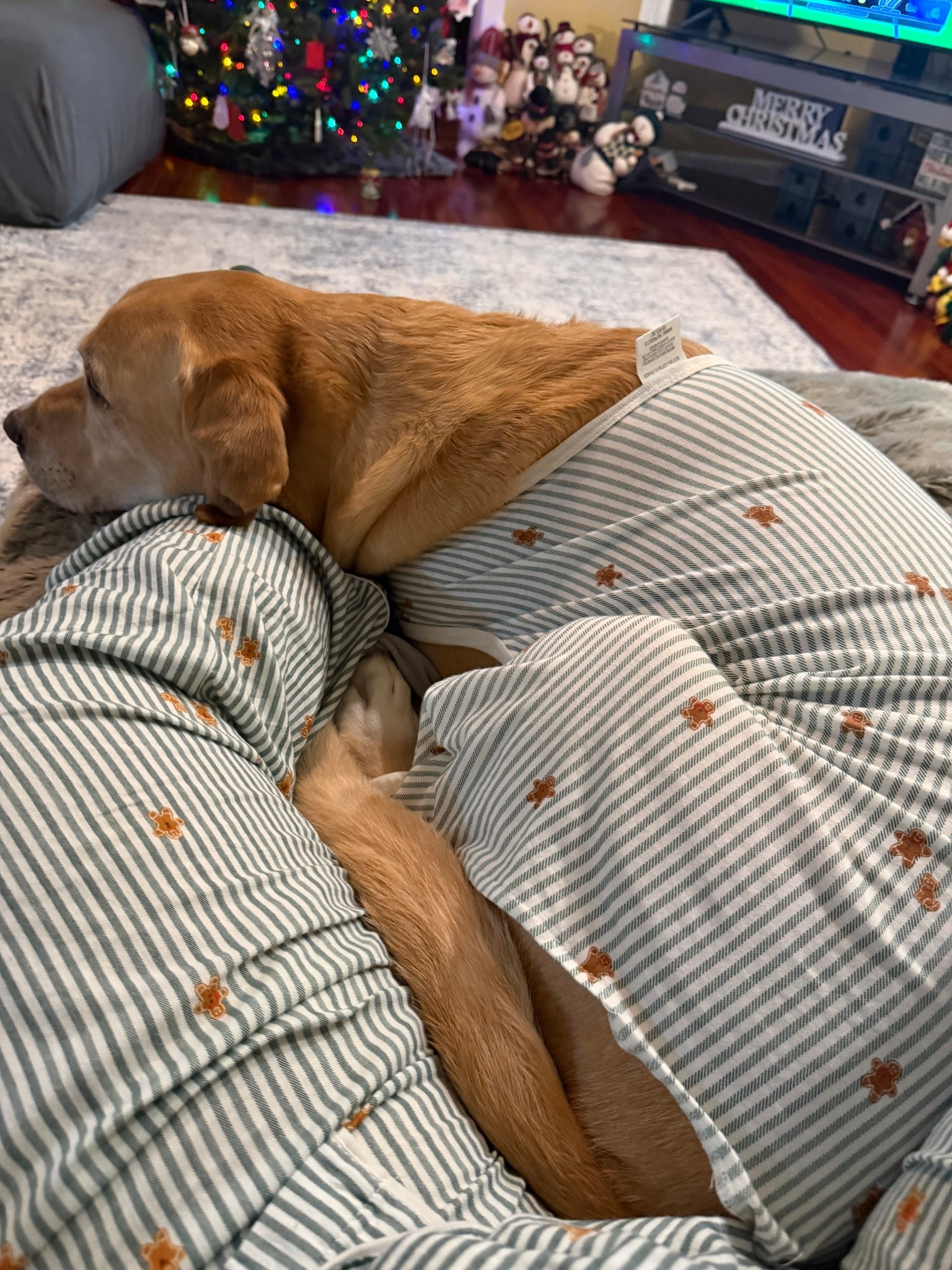 Matching pjs with my boy🤍

#LTKdayinmylife #LTKHoliday #LTKGiftGuide