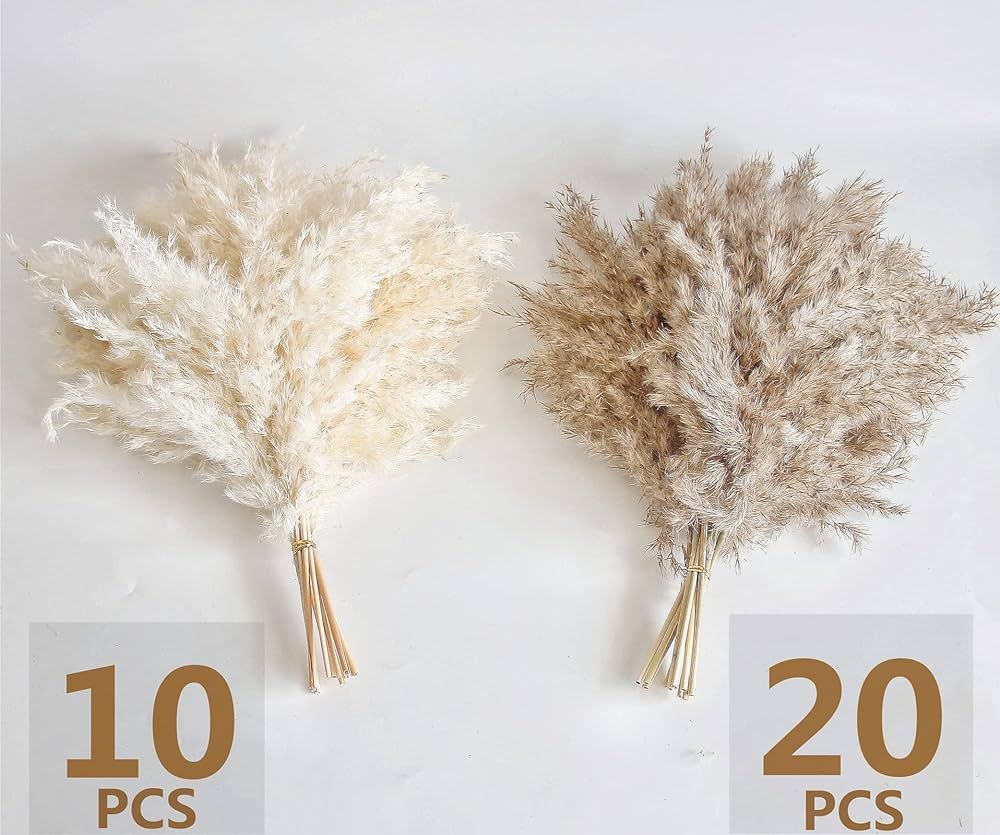 30 PCS Boho Decor, Fluffy Pompas Grass, Natural Dry Pampas Grass Small, Short Pampass Bulk for Bo... | Amazon (US)