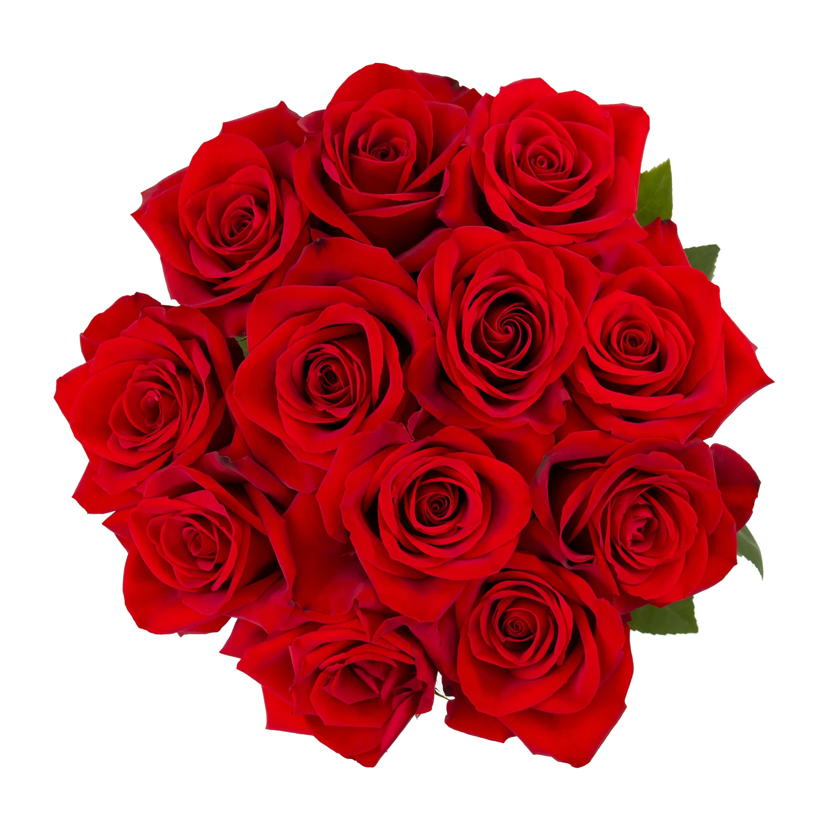 Valentine's Day Dozen Roses, Fresh-Cut Flowers, 12 Stems, Colors Vary | Walmart (US)