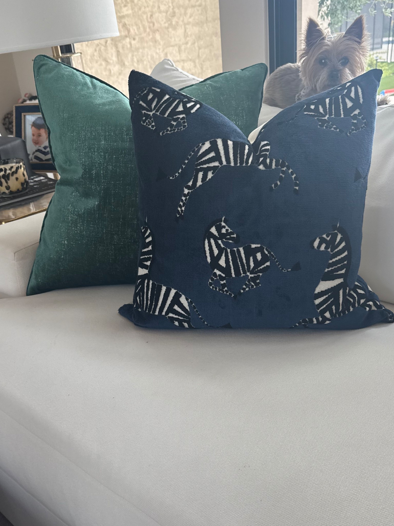 Switched out all of my pillows for Fall, I’m obsessed with these zebra print pillows. They are so rich and def catches the eye! Will link and will be adding more Fall style pieces shortly! 🍁🍂🍁🍂🍁🦓

#LTKHome #LTKSeasonal #LTKOver40