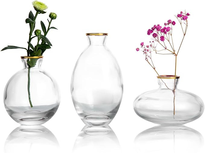 3Pcs Classic Mini Bud Vase, Nordic Transparent Glass Vase, Vintage Flower Bottles Hydroponic Plan... | Amazon (US)