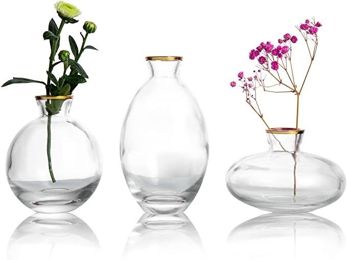 3Pcs Classic Mini Bud Vase, Nordic Transparent Glass Vase, Vintage Flower Bottles Hydroponic Plan... | Amazon (US)