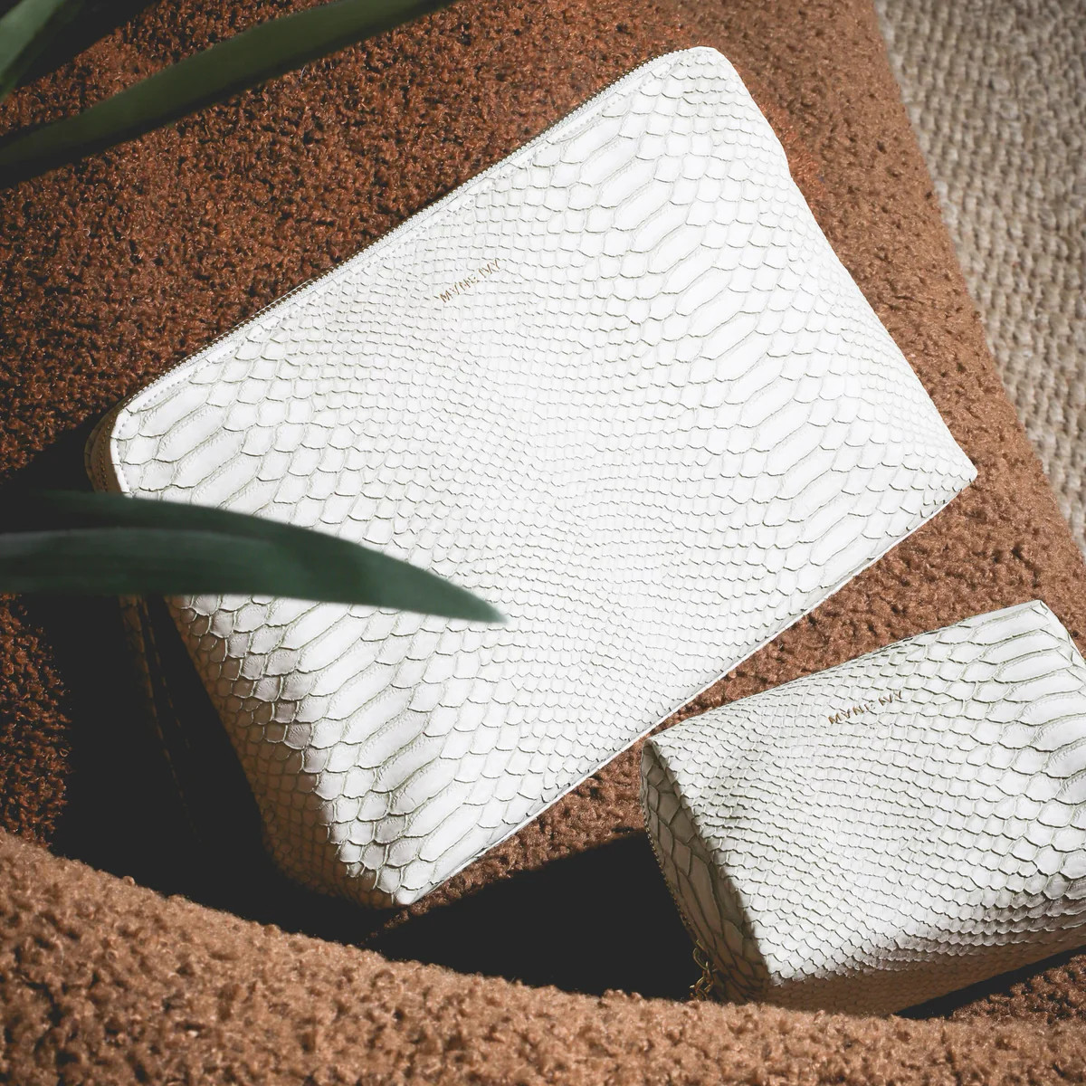 SHE COMES IN CLUTCH | Mane Ivy