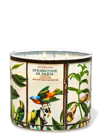 Springtime In Paris


3-Wick Candle | Bath & Body Works
