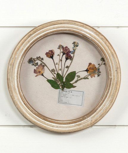 Ragon House Brown 7.5" Round Pressed Foliage Wood-Frame Wall Art | Zulily