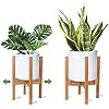 X-cosrack Adjustable Plant Stand Mid Century Wood Modern Flower Potted Holder Rack for Indoor Out... | Amazon (US)
