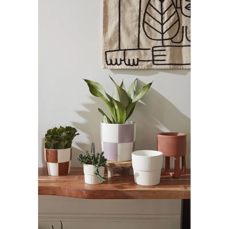 Caitlin Ceramic Pot Planter | Wayfair North America