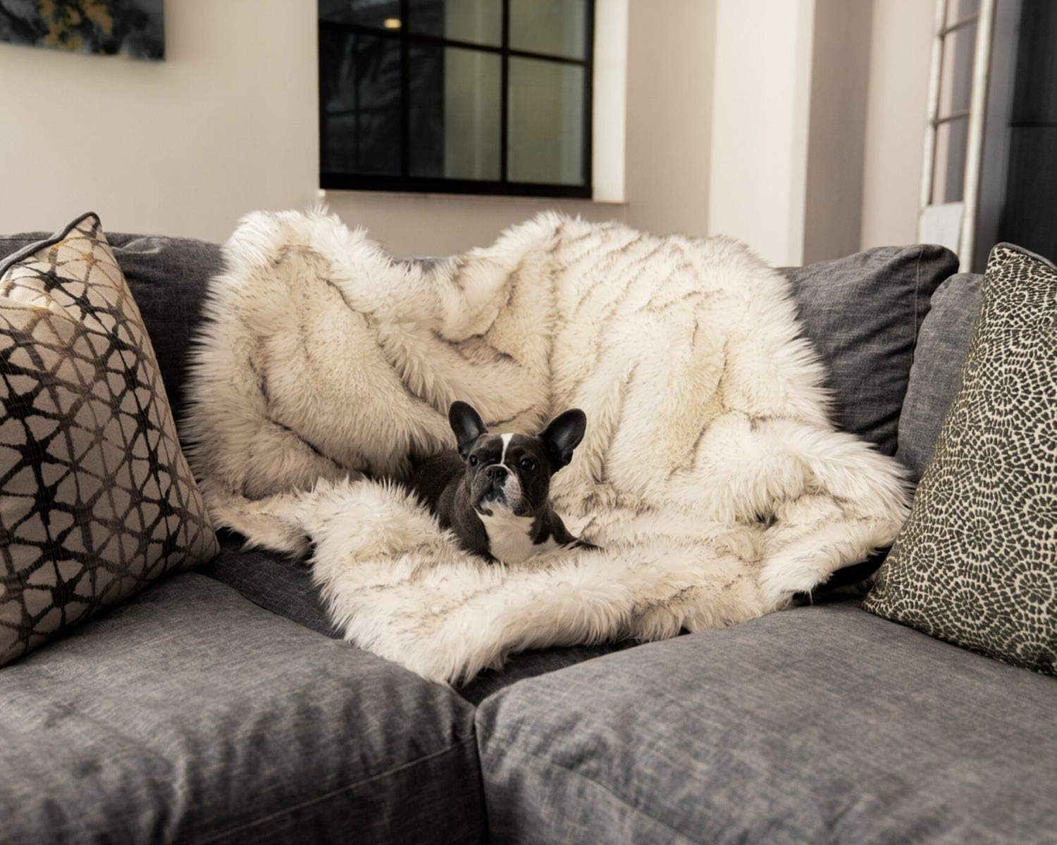 PupProtector Waterproof Dog Blanket - Soft Plush Throw Protects Bed, Couch, or Car from Spills, S... | Amazon (US)