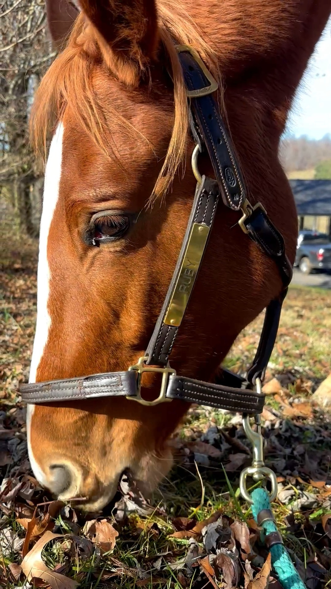 Some Ruby ASMR 😂♥️

#LTKWorkwear #LTKdayinmylife #LTKootd