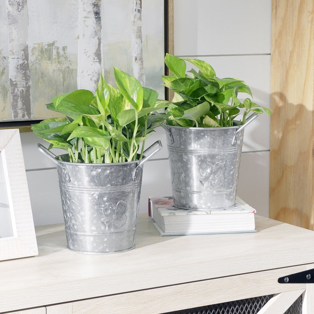 Walford Home 6 inch Galvanized Flower Pots with Handles, Set of 2 (Gray/Silver) | Walmart (US)