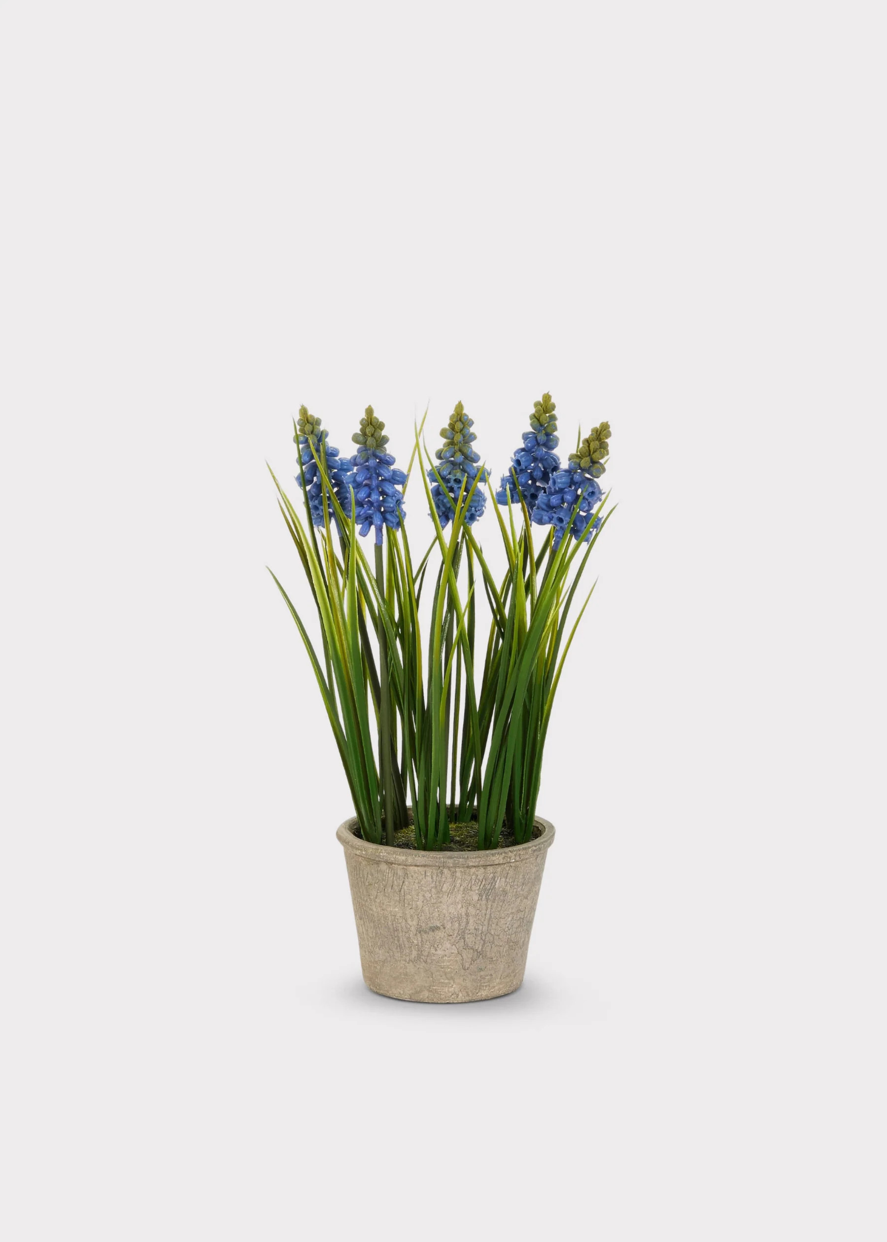Blue Blooming Grape Hyacinth Fake Flower Potted Plant - 11.5" 

 #LTKOver40 #LTKHome