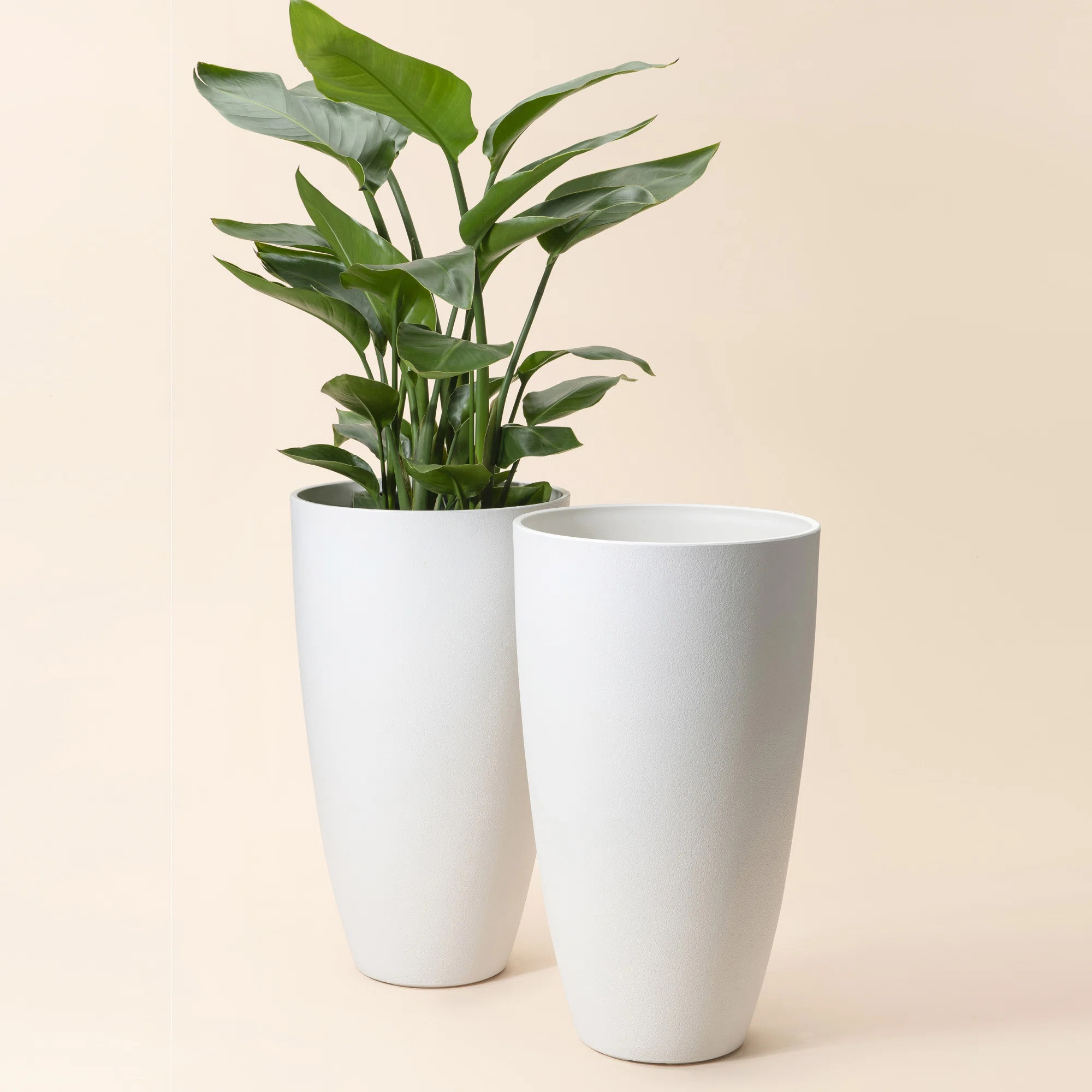 2-Piece Plastic Pot Planter Set (Set of 2) | Wayfair North America