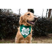 Good Luck Clover Over The Collar Dog Bandana By Tails Up, Pup, St. Patrick's Day Bandana, Cute Banda | Etsy (US)
