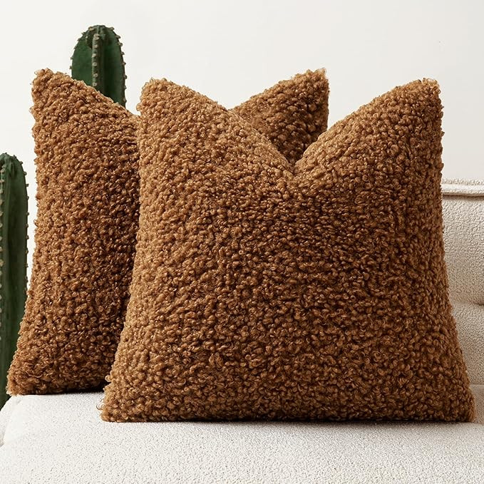 Woaboy Faux Fur Throw Pillow Covers 20x20 Inch Set of 2 Boucle Neutral Decorative Sherpa Fuzzy Ac... | Amazon (US)