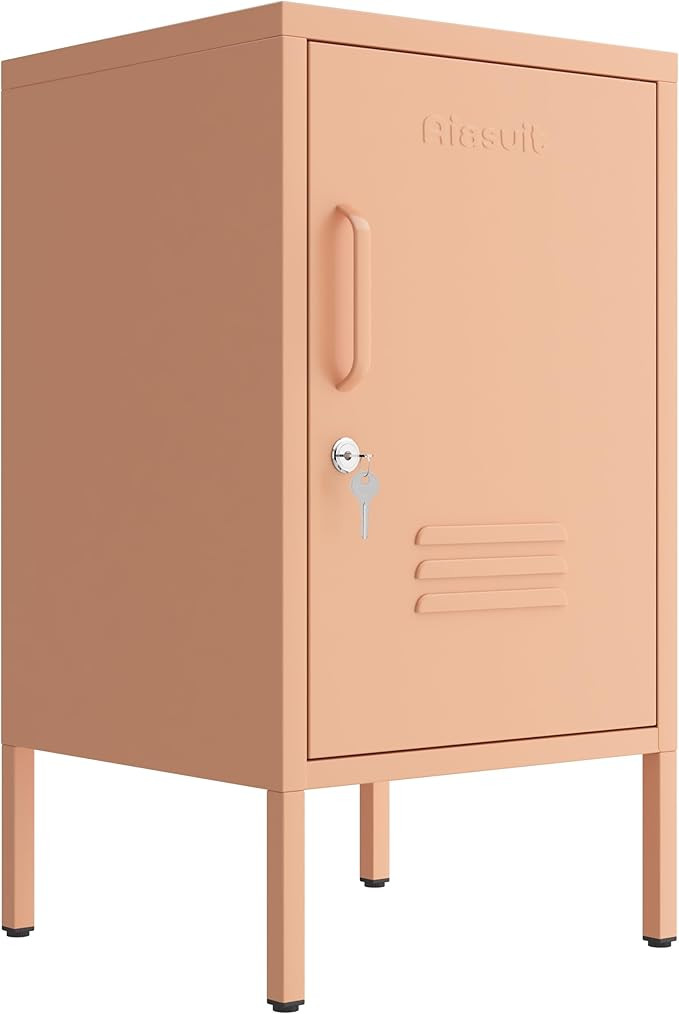 Single door End Table 2 Tier Narrow Side Table with Metal Frame Multifunctional Home Table Easy t... | Amazon (US)
