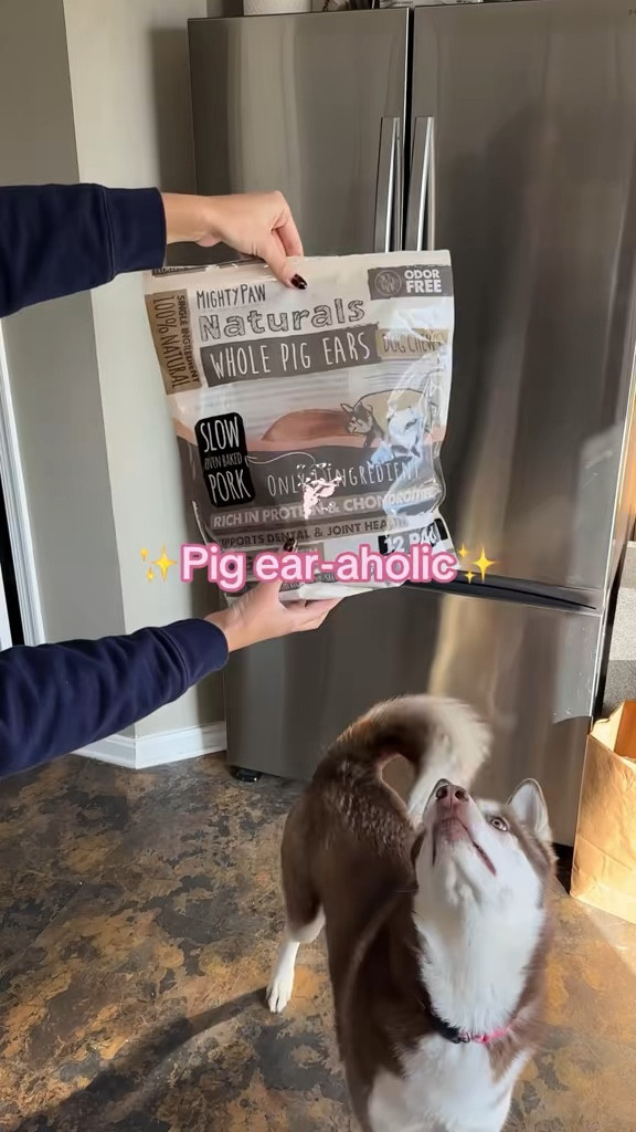 She LIVES for these pig ear chews and I love that they're just one ingredient 

 #LTKmorningroutine #LTKstorytime #LTKfoodie