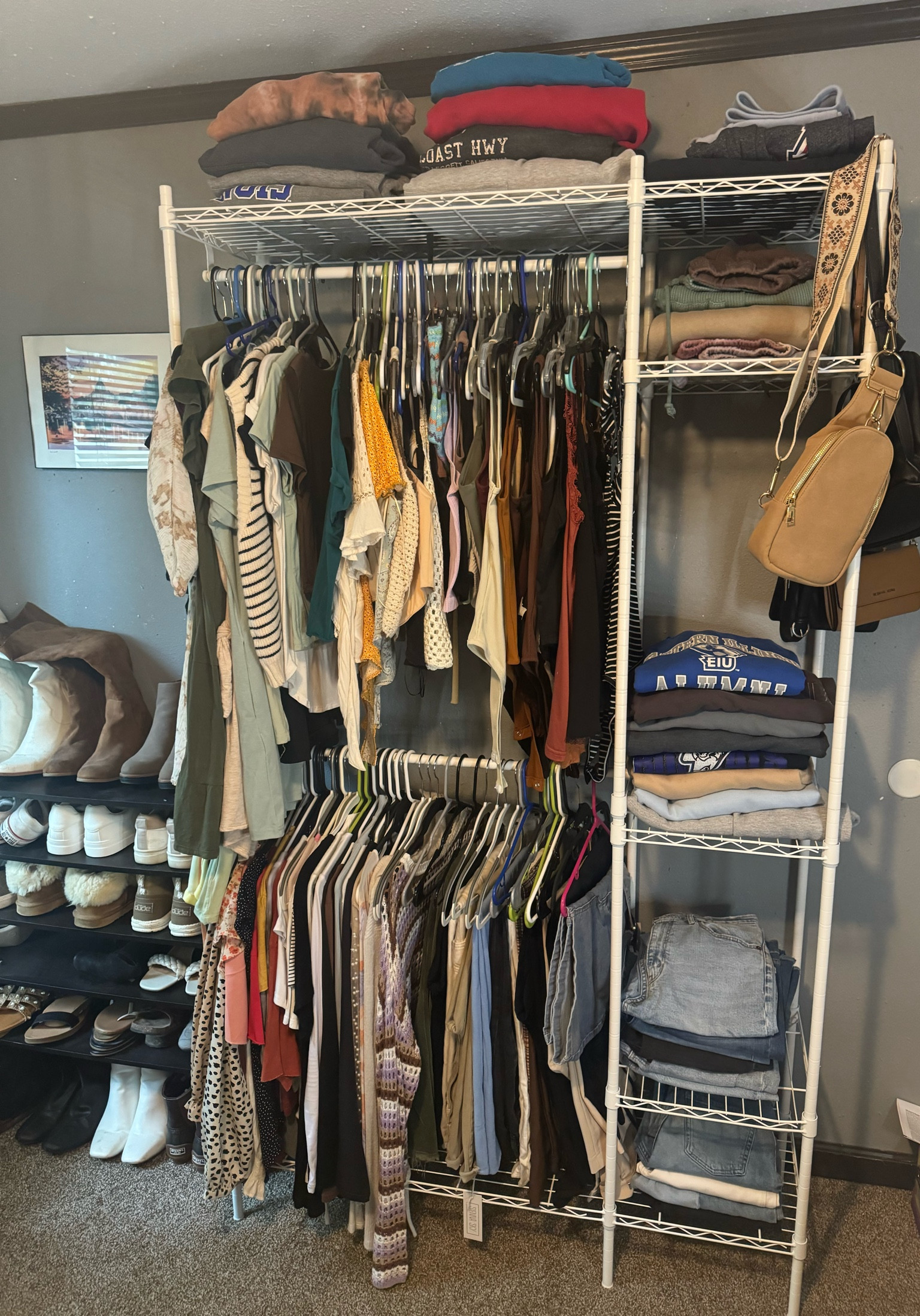Perfect closet organizer! Holds up to 600 pounds 

#LTKFindsUnder100 #LTKHome #LTKShoeCrush