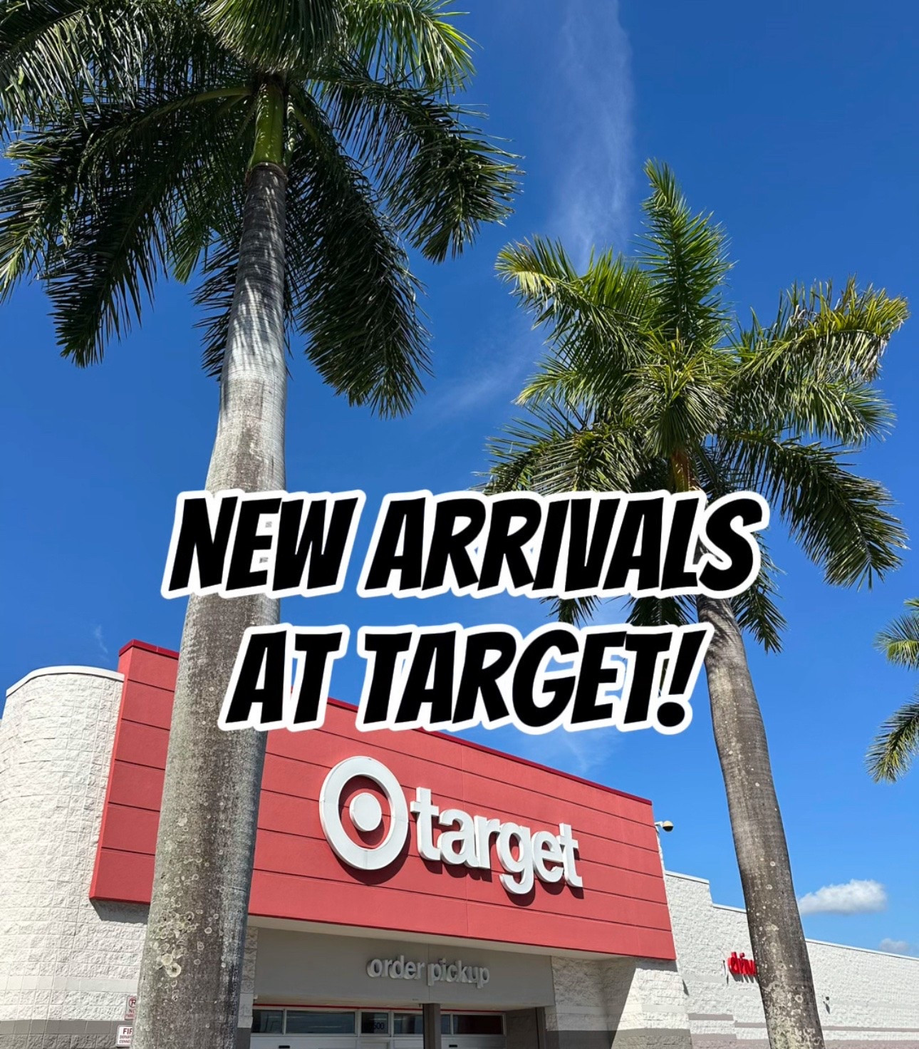 New arrivals at Target